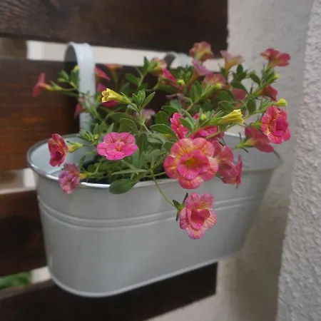 Daroom In The Heart Of Appartement